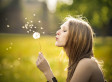 Dandelion blow ball